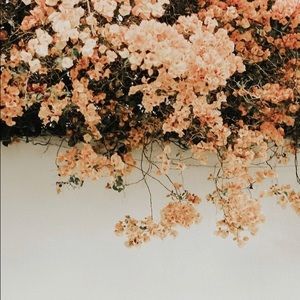 Meet your Posher, Jané